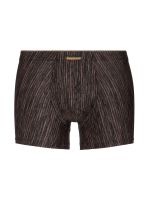 Bruno Banani Lava Field: Shortpant, schwarz/bronze stripes