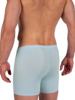 Olaf Benz RED2382: Boxerpant, sky