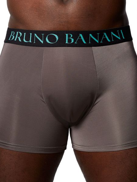 Bruno Banani Ancient Culture: Short, taupe