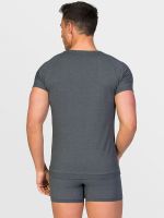 Zero Defects Ranglan: Egyptian Cotton V-Neck-Shirt, graphit