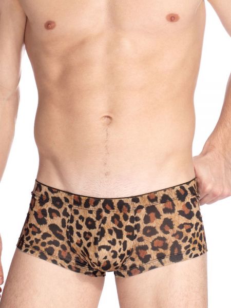L'Homme Leopard: Miniboxer, leopard