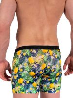 Olaf Benz RED2365: Boxerpant, ananas